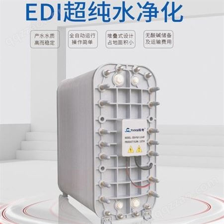 批发EDI超纯水设备高纯水EDI模块超纯水反渗透EDI膜堆去离子设备