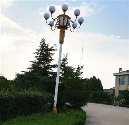 led路灯灯头6米-12米定制公园广场小区庭院户外灯新农村电线杆道路灯