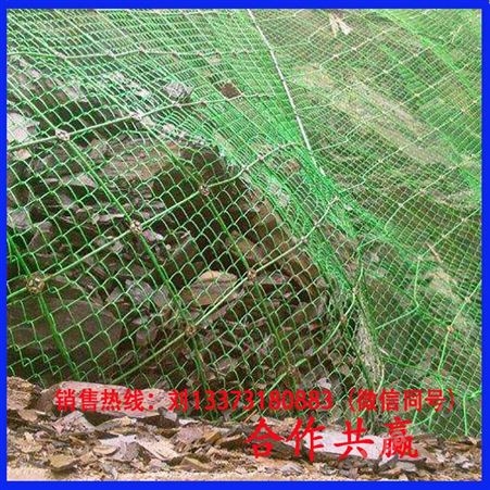 河北安平承亚 主动边坡防护网 防护山体主动边坡防护网 大量现货 