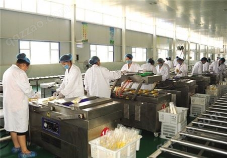 上海嘉备 小型果汁生产设备 小型果酱生产设备 果酒全套生产线