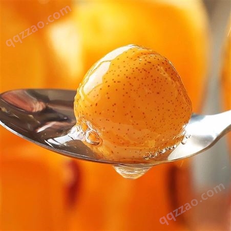 橘子罐头 椰果罐头 山楂罐头_生产制造商