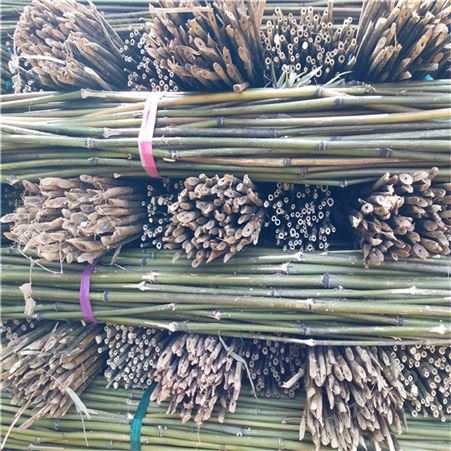 1米-4米架竹杆 菜架竹 2米-3米支撑杆 毛竹尾 3米-6米苦竹 白竹