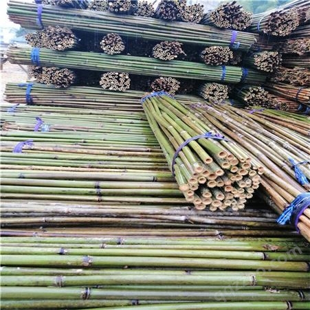 1米-3米菜竹架 蔬菜支架竹杆 豆瓜扦 水果搭架竹杆 江西发货