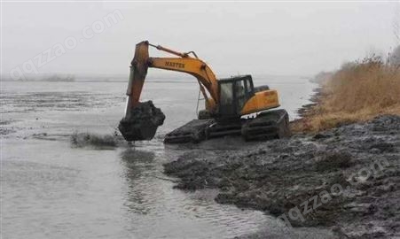 沈阳水上挖机出租电话 上海湿地挖掘机出租厂家