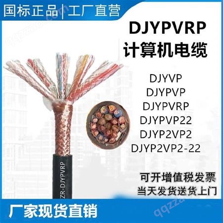 DJYPVPR电子计算机用屏蔽电缆 冀芯