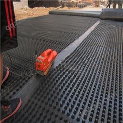 路克 排水板厂家供应屋顶绿化防排水板 hdpe防排水板