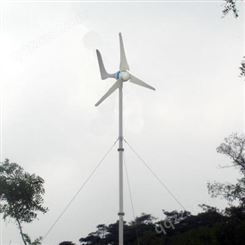 中国台湾进口*陆用型600W24V家用 别墅草原风力发电机