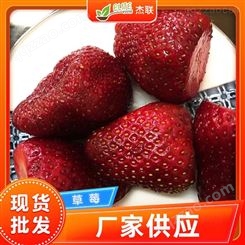 进口草莓 冷冻埃及草莓 速冻产品 速冻草莓 商用甜品