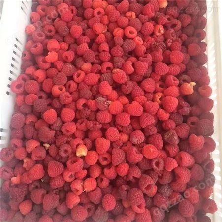 冷冻树莓 冰冻水果山抛子烘焙装饰 速冻山莓饮品 原料