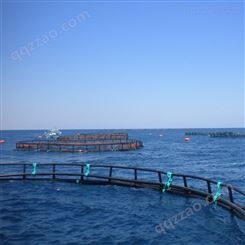 踏板深海网箱养殖 大型养鱼网箱生产厂家 深海抗风浪养鱼网