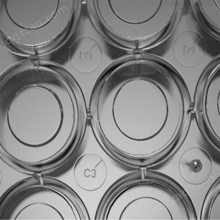 批发零售 整箱优惠 无锡耐思 NEST 玻底培养皿 玻底培养板